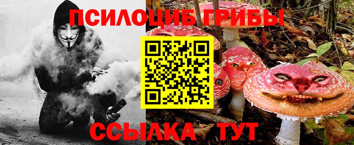 Галлюциногенные грибы ЛСД Людиново